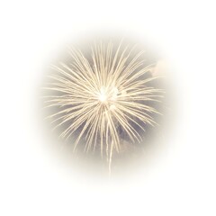 Obraz premium Bright Firework Burst Over Cloudy Night Sky