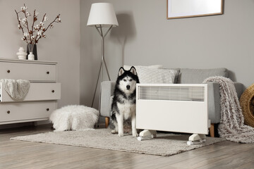 Cute husky dog sitting near modern electric convector heater in stylish living room © Pixel-Shot