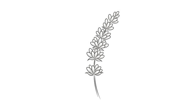 Simple line art botanical sprig on white background