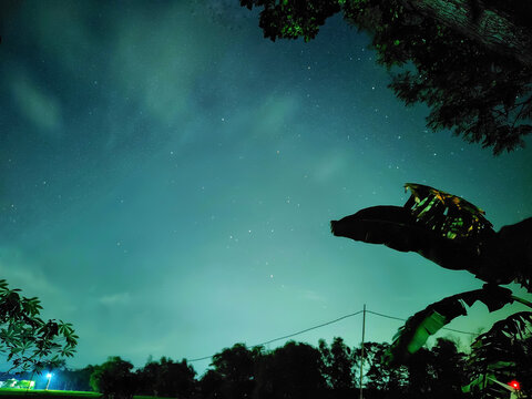 Night landscape with starry sky 
