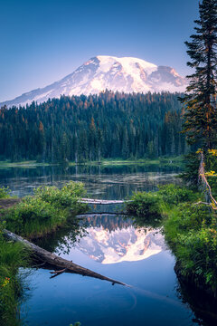 Snowcapped mountain and forest landscape reflected in a lake, Mount Rainer National Park, Washington, USA