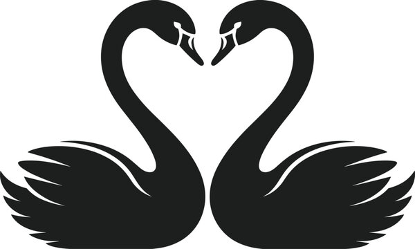 Elegant Black Swan Silhouette Duo Facing Each Other Creating a Symmetrical Heart Shape Symbolizing Romance Love and Graceful Wildlife Beauty on White Background