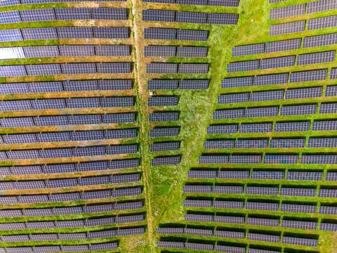 Large solar panel field in a rural area during bright daylight with green grass and uniform rows of panels