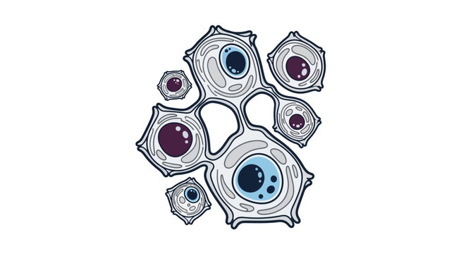 Cell biology microscopic structure illustration.