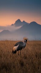 Fototapeta premium Crowned crane standing in golden grassland at sunset with misty mountains in background creating serene African wildlife scene for nature photography.