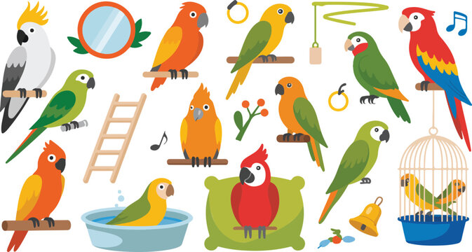 Colorful parrots and bird accessories flat cartoon vector illustration pet birds macaw cockatoo cage perch playful set isolated on white background