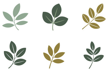 Six botanical leaf sprigs in muted green and olive tones leaves plant © Shamsun