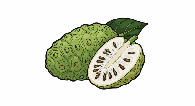 Two stylized green noni fruits, one halved, revealing white flesh with seeds