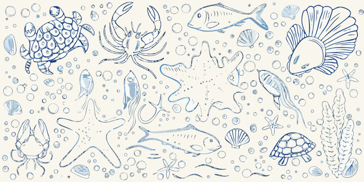 A whimsical blue line drawing depicts various sea creatures and plants
