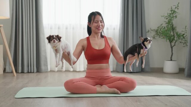 Young woman practicing yoga exercise meditation at home interior with pet dogs on mat, indoor fitness scene in bright living room