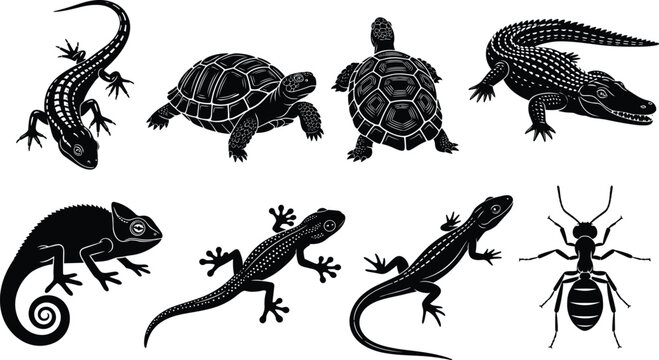 Reptile and amphibian silhouettes collection, lizard turtle crocodile chameleon gecko ant set, wildlife animal illustration, black isolated vector design concept