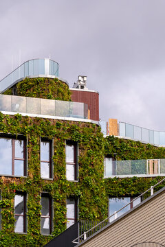Urban building architecture with ivy facade greenery on rooftop in Germany showing Hamburg residential exterior during autumn daylight