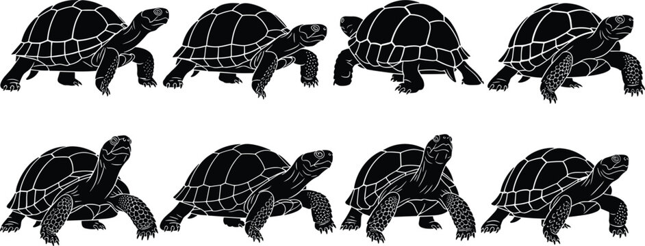 Turtle silhouette set, tortoise walking poses collection, reptile wildlife illustration, black and white animal design, isolated vector graphic concept