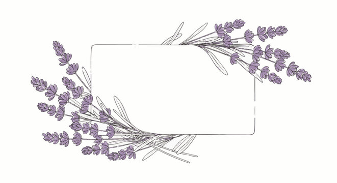 Delicate purple lavender sprigs frame a blank rectangular space