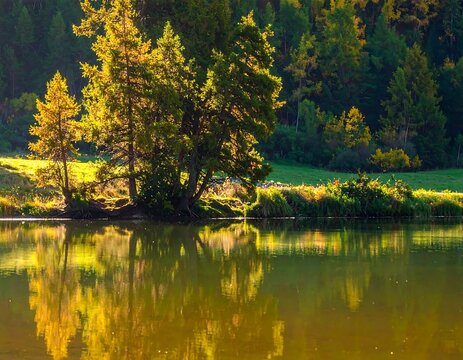 A serene lake scene with trees on the shore