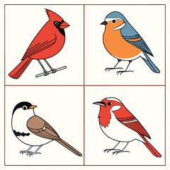 Set of four colorful cartoon birds © Epicart