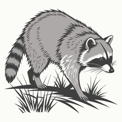Obraz premium Illustration of a cute raccoon walking through the grass