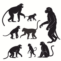 Set of monkey silhouettes in various poses © Epicart
