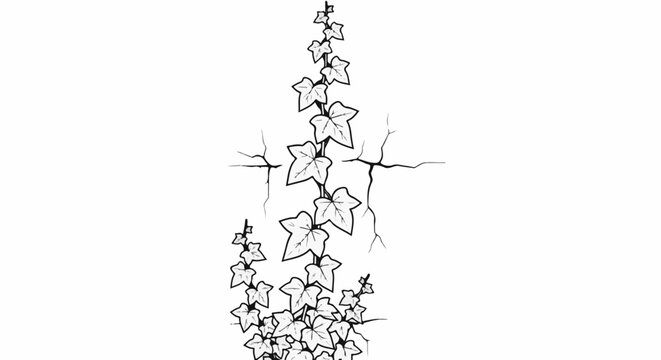 A vine with many leaves climbs up a cracked surface