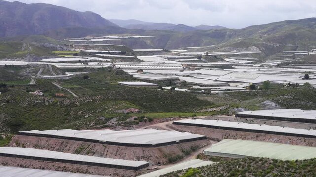 Landscape with Greenhouses (Sea of Plastic) in Almeria / El Ejido (Spain). Agriculture under plastic