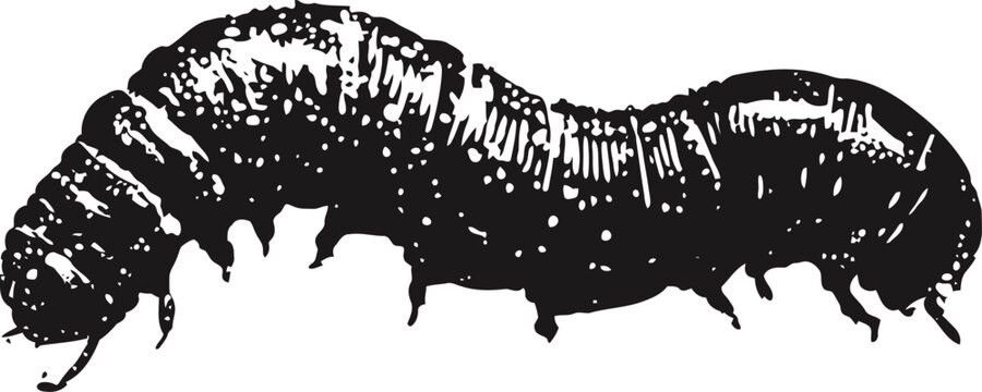 black caterpillar crawling with segmented body and multiple legs detailed insect illustration