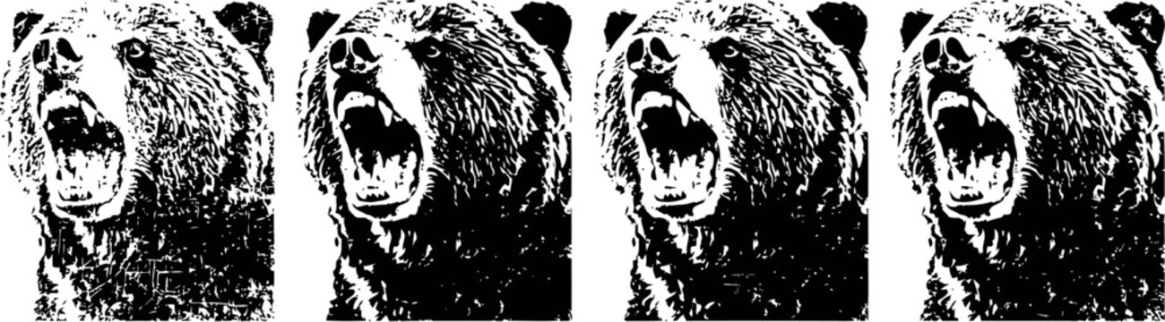 roaring brown bear head illustration, wild animal aggressive expression, predator nature wildlife