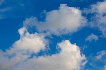 Obraz premium Fluffy Clouds in a Blue Sky