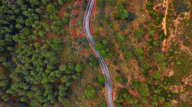Vertical aerial view of serpentine road through trees. A curved mountain road surrounded by bright red soil and green pine vegetation.