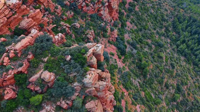 Aerial view of red sandstone rock formations and green bushes. High angle drone shot of layered red stone cliffs and Mediterranean vegetation in a Spanish canyon.