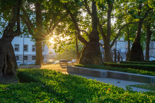 Porto, Portugal - 12 July 2021: View of a tranquil park bathed in warm sunlight, where ancient trees cast shadows on manicured lawns and a quiet bench invites peaceful reflection near the buildings.
