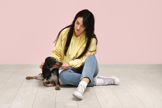 Female dog handler with pet sitting near pink wall