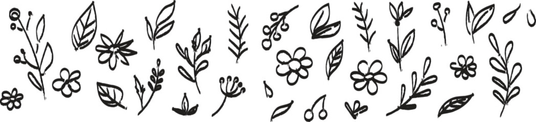 Fototapeta premium Flower doodle hand drawn line stroke. Set of branch and leaves collection. Floral hand drawn vintage set. Elegant botanical hand drawn floral elements with editable stroke for decorative design, print