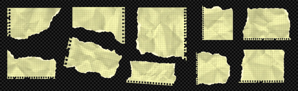 Legal paper square lined collection of torn ripped rip and grid notebook yellow sheet. Craft math cardboard with folded crumpled school note. Set bundle kit of wrinkled leaf piece graph for collage.
