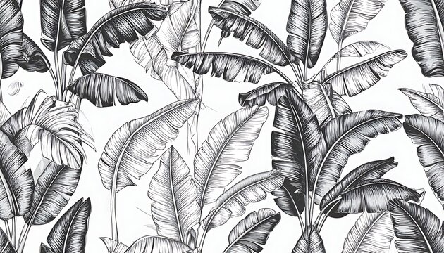 Dense array of leafy banana plants sketched in grayscale create an exotic and natural seamless pattern on white