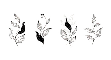 Fototapeta premium Botanical illustrations isolated on transparent background