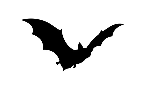 Silhouette of a flying spooky vampire bat with open spread wings