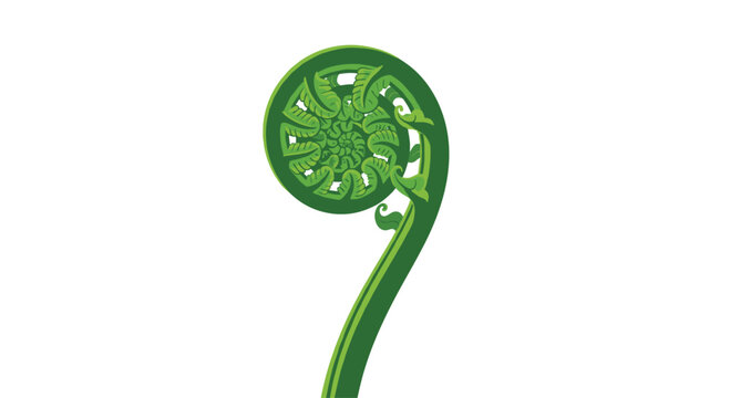 A vibrant green fern fiddlehead uncurls in a meticulous spiral pattern against a pristine white background showcasing natural fractal geometry and growth.