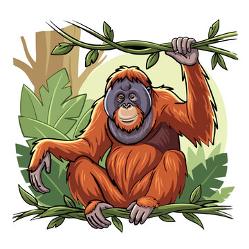 vector illustration of Sumatran orangutan