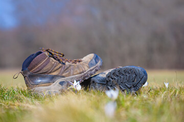 closeup pair of touristic boot stay on forest glade in grass © Yuriy Kulik