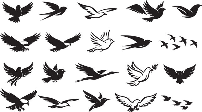 Black and White Flying Bird Vector PNG Transparent Background