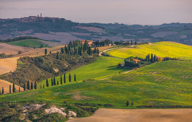 Obraz premium Tuscan countryside with San Quirico d'Orcia town on horizon, Italy.