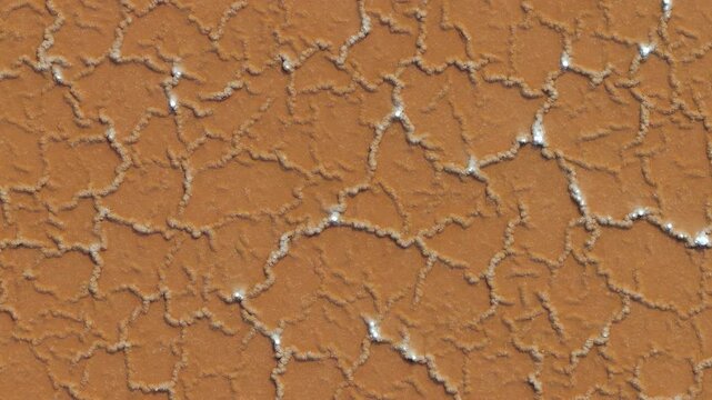 AERIAL top-down � Salt flats of Cabo de Gata, Spain
