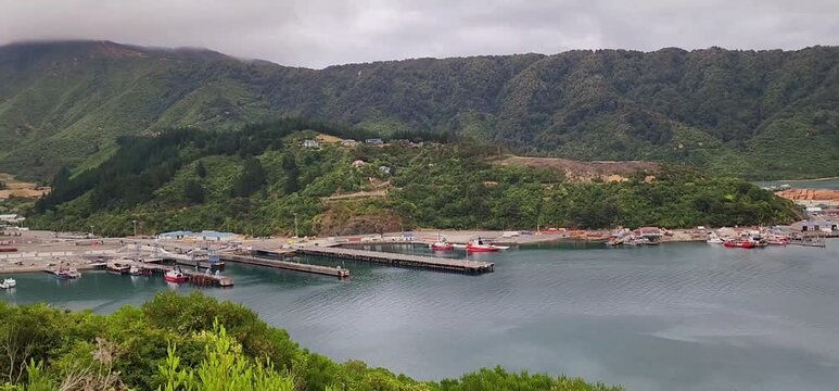Harbourfront Piers and Forested Hills in the Marlborough Region. A coastal view near Blenheim, New Zealand, showing harbour piers and boats set against steep, forested hills.