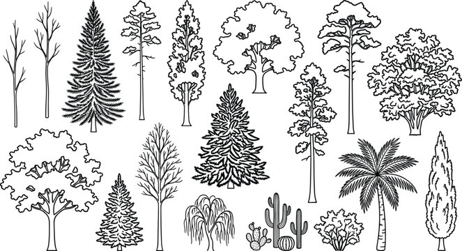 Diverse collection of trees and plants in a black and white illustration