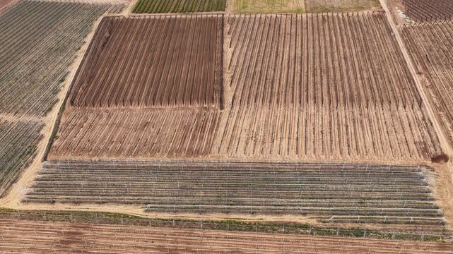 An aerial drone view of farmland planted in neat rows and modern greenhouses. Geometric patterns in the rural landscape and sustainable agriculture.
