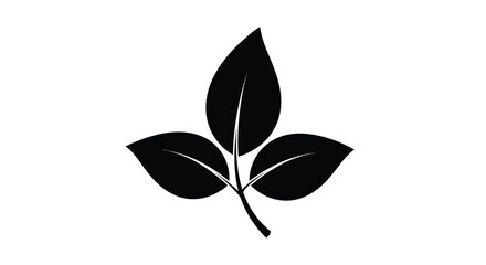 Three leaves depicted in a stark black silhouette © MDHOJAIFA
