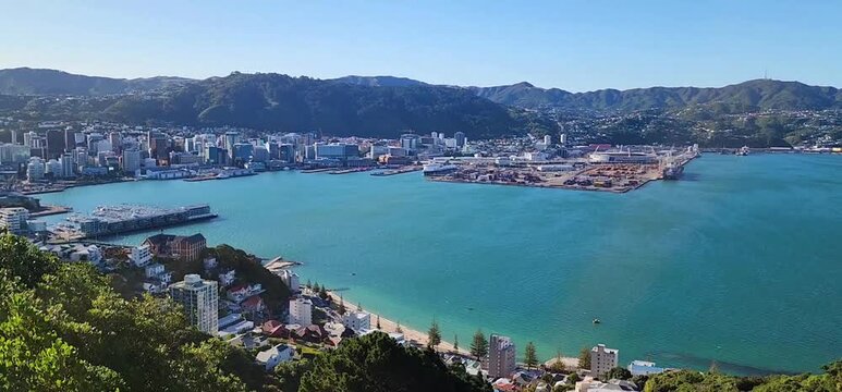 Elevated Harbour Panorama with City Waterfront and Forested Hills. An elevated view of Wellington, New Zealand, showing lush green vegetation in the foreground and the city&rsquo;s waterfront buildings. 