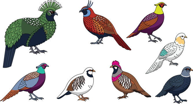 Colorful Pheasant and Game Bird Collection with Exotic Species Isolated on White