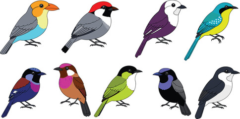 Colorful Songbird Collection with Various Small Bird Species Isolated on White © MdSoleman