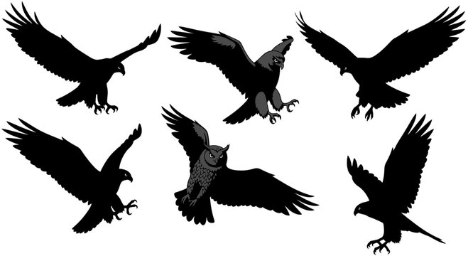 Set of Flying Eagle and Owl Silhouettes in Action Poses